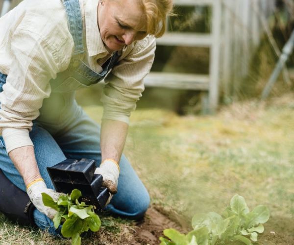 Specialist Home Care services